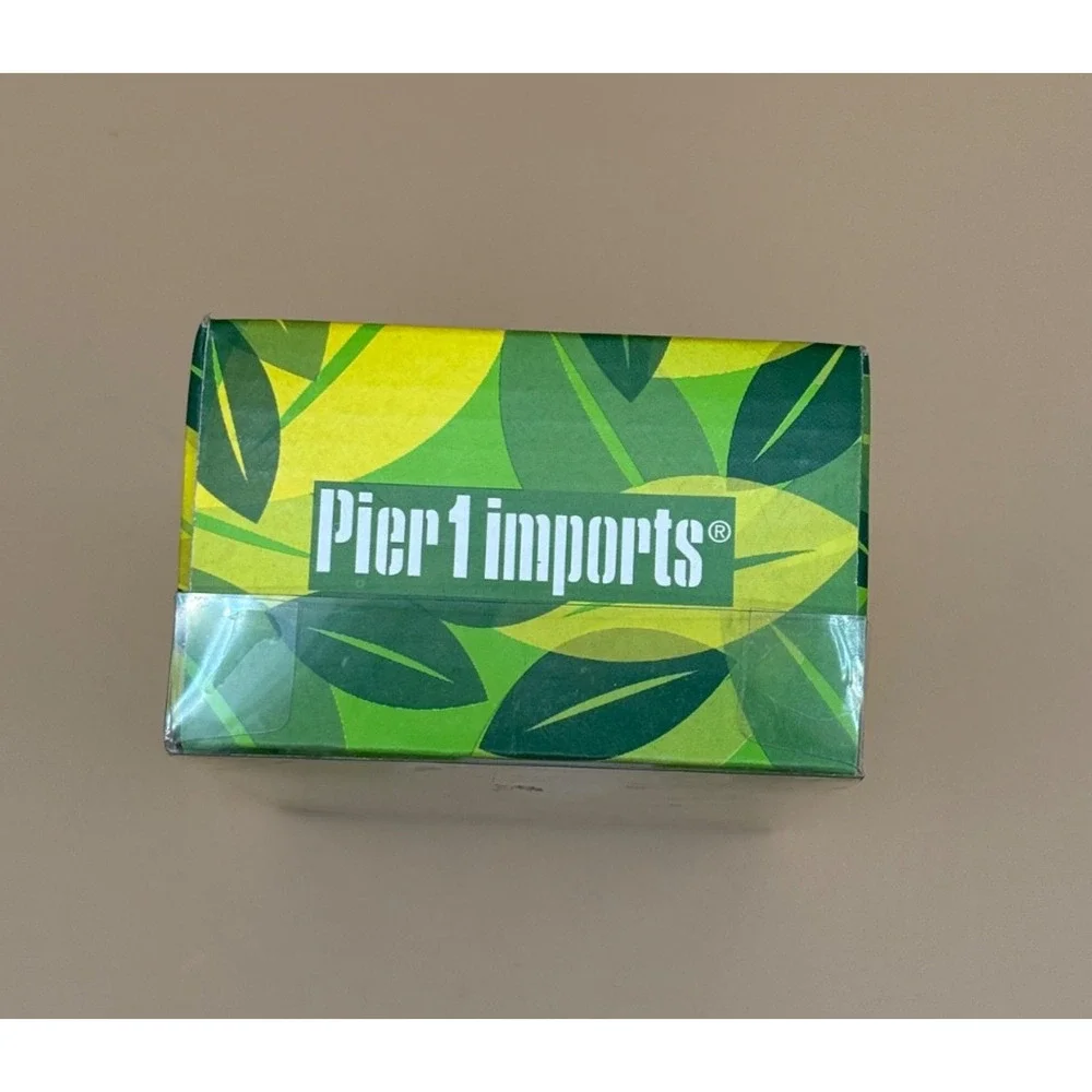 🐭 Pier 1 Imports Zoo Logy Mouse Salt & Pepper Set NIB Porcelain